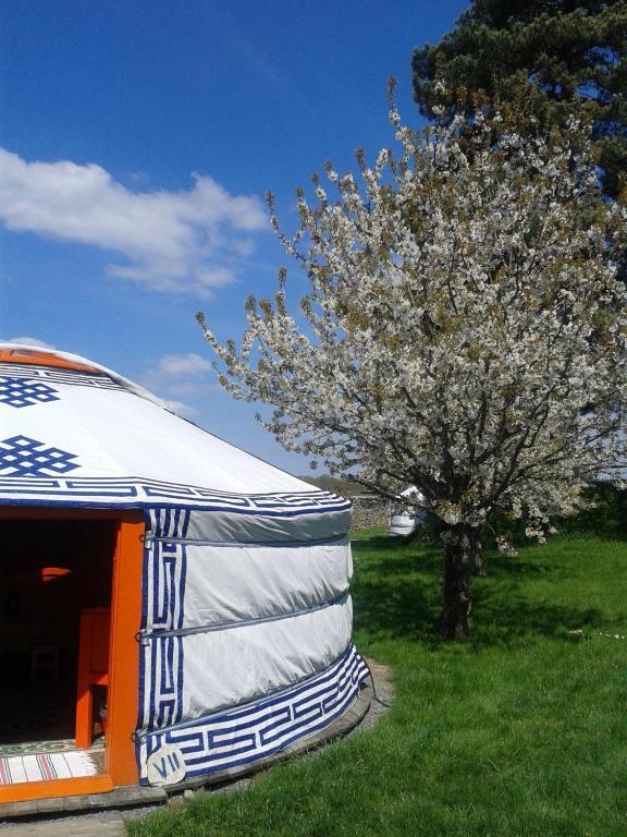 Yourte Nomade-Lodge Les Ecrennes Room photo
